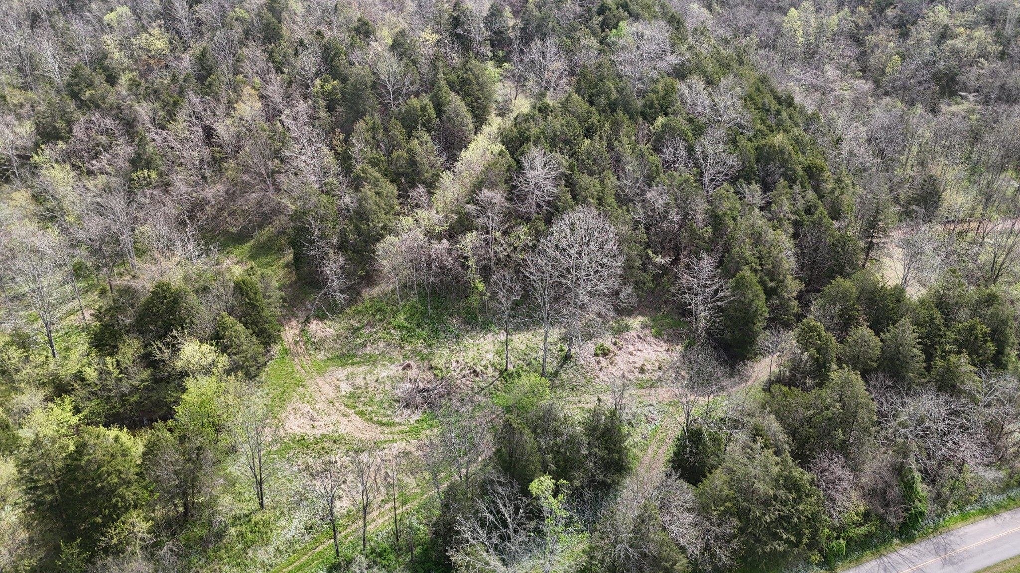 2667 Sycamore Valley Road Lafayette, TN 37083 - Photo 4 of 26 a view of a forest with a tree
