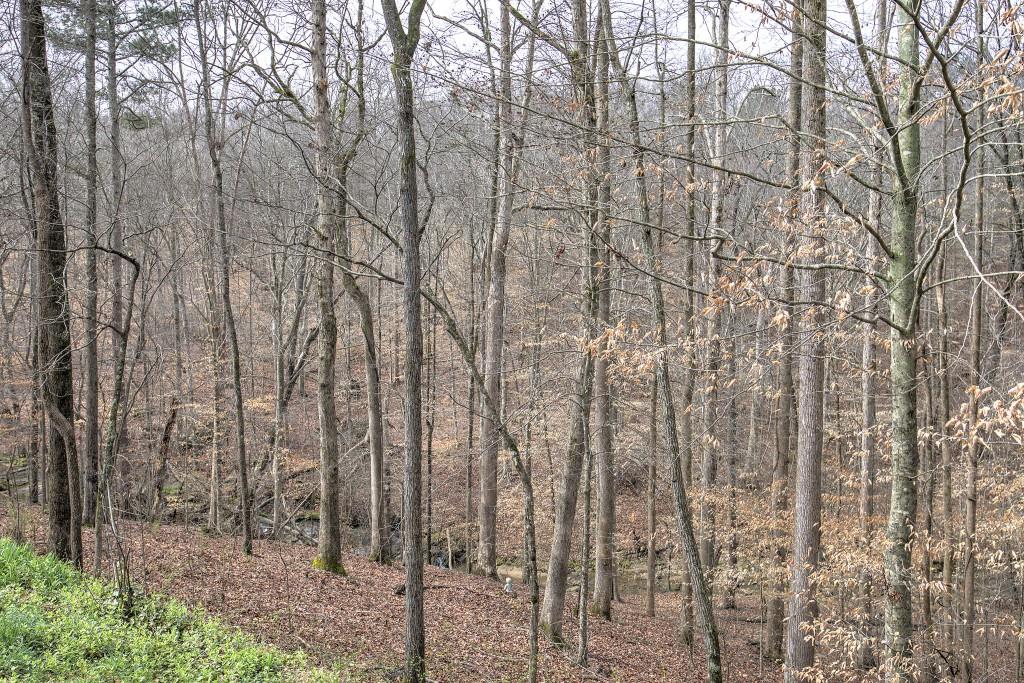 302 Waterfall Court Canton, GA 30115 - Photo 47 of 80