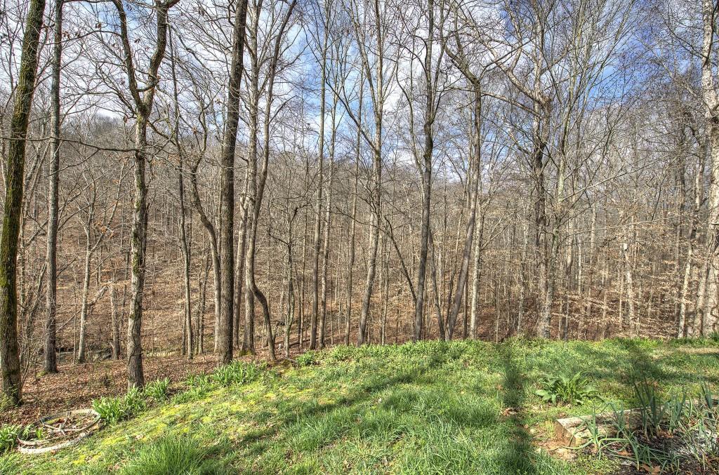 302 Waterfall Court Canton, GA 30115 - Photo 48 of 80 a view of backyard with plants