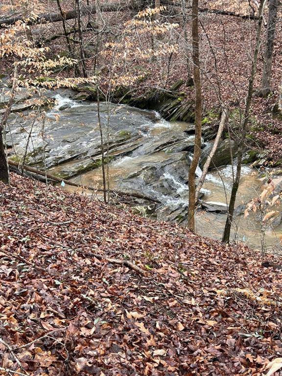 302 Waterfall Court Canton, GA 30115 - Photo 49 of 80 a backyard of a house with lots of green space