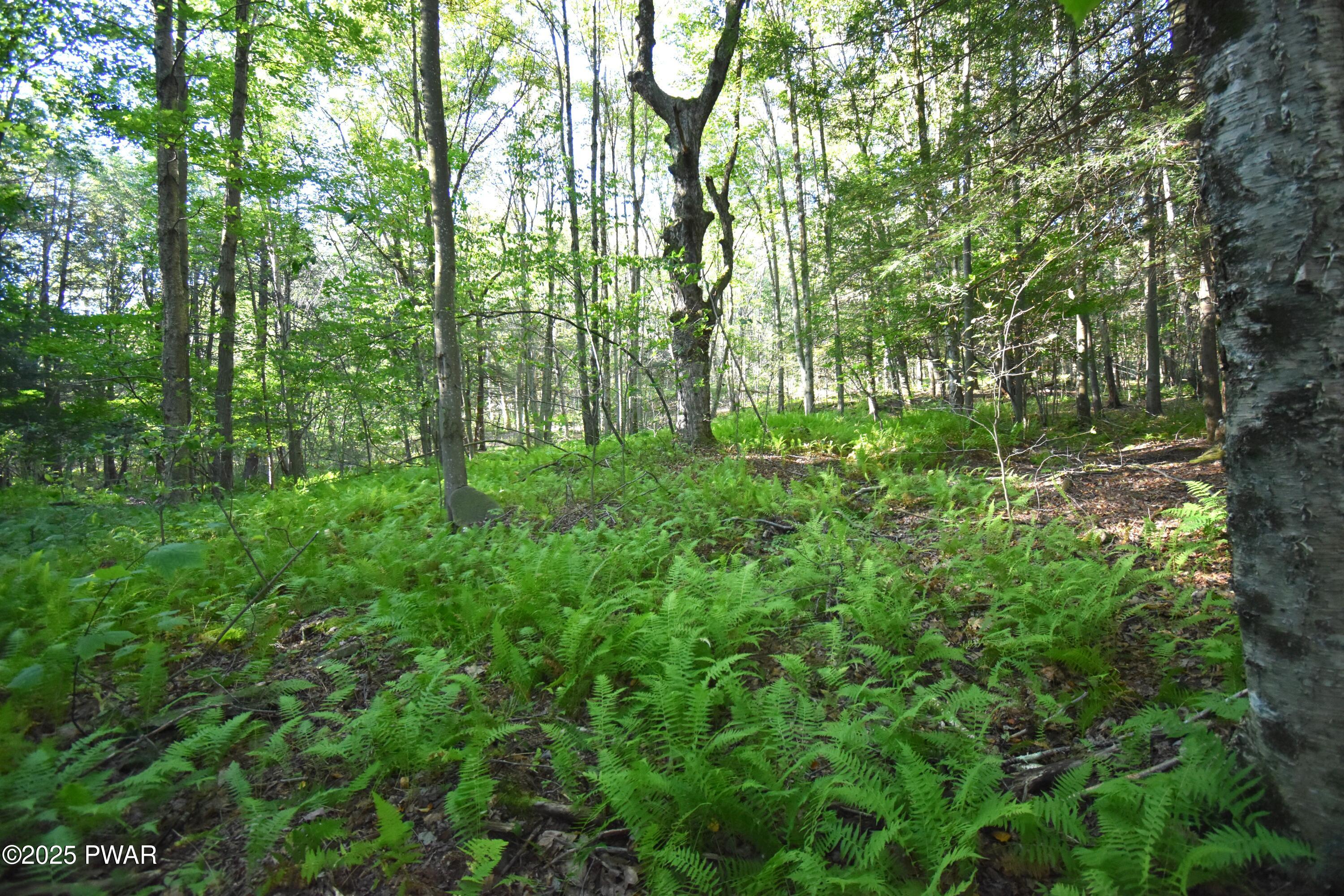 430 Flat Rock Road Forest City, PA 18421 - Photo 5 of 22