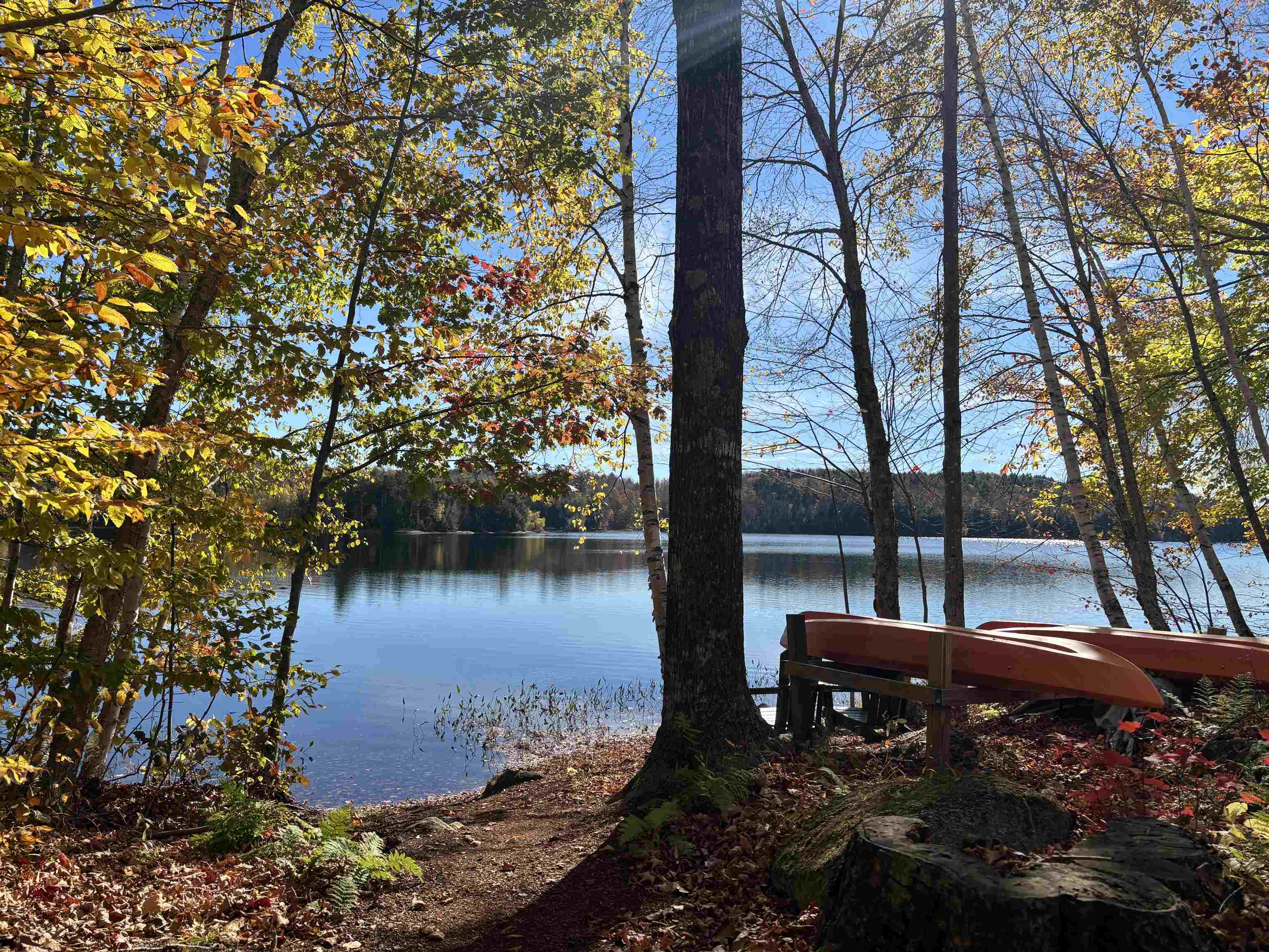 21 Shore Road Grantham, NH 03753 - Photo 3 of 51