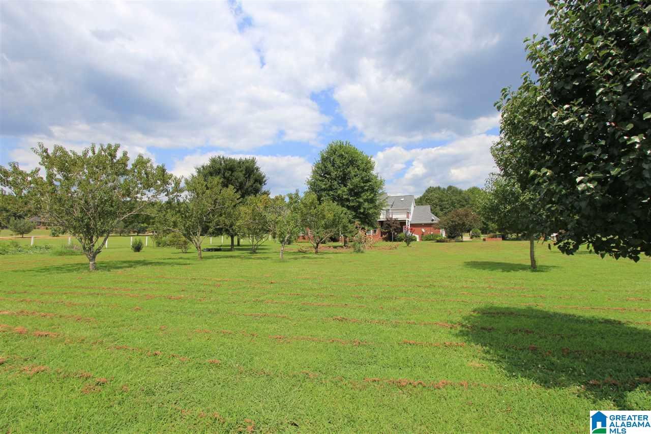 2540 Cedars Road Munford, AL 36268 - Photo 47 of 50