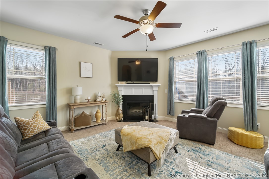 30 Raintree Lane Spring Lake, NC 28390 - Photo 11 of 36 Gallery Image 11
