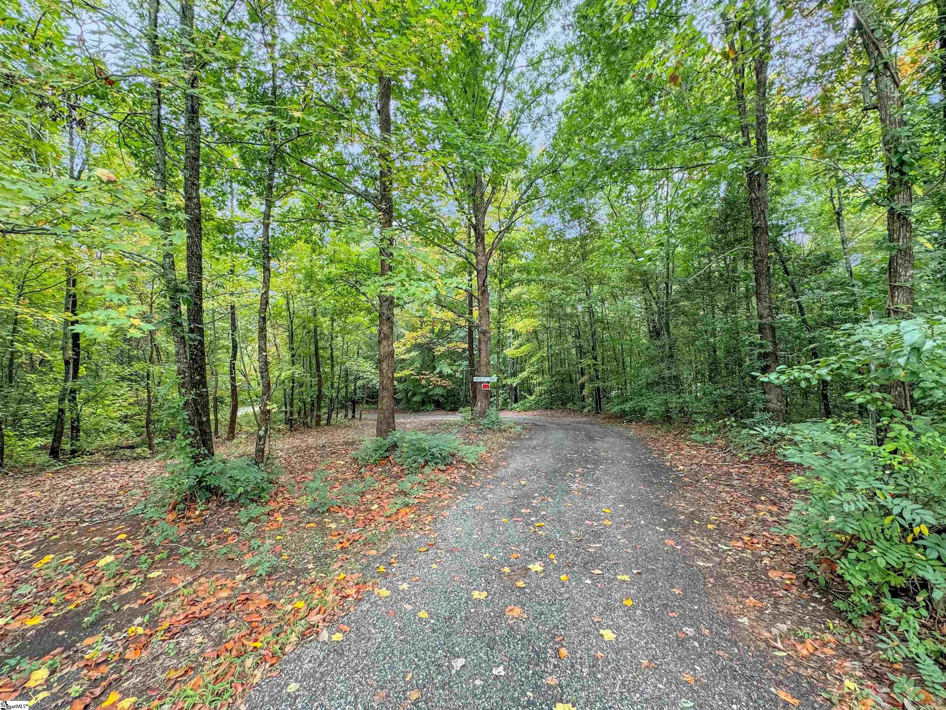 2805 State Park Road Greenville, SC 29609 - Photo 32 of 35