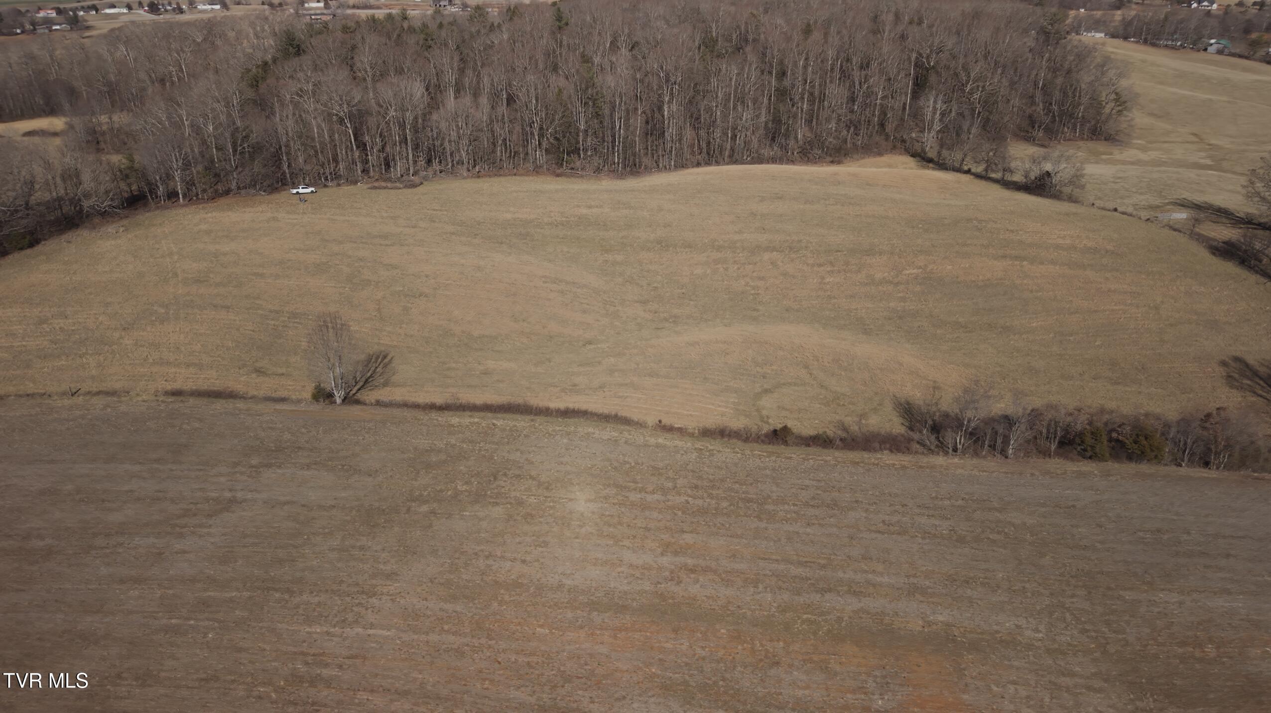 Tbd Pleasant Hill Road Chuckey, TN 37641 - Photo 3 of 6 20250125 Dylan Joe_s Stills_32s resized