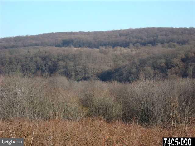 0 Codorus Furnace Road York, PA 17406 - Photo 1 of 1 Gallery Image 1