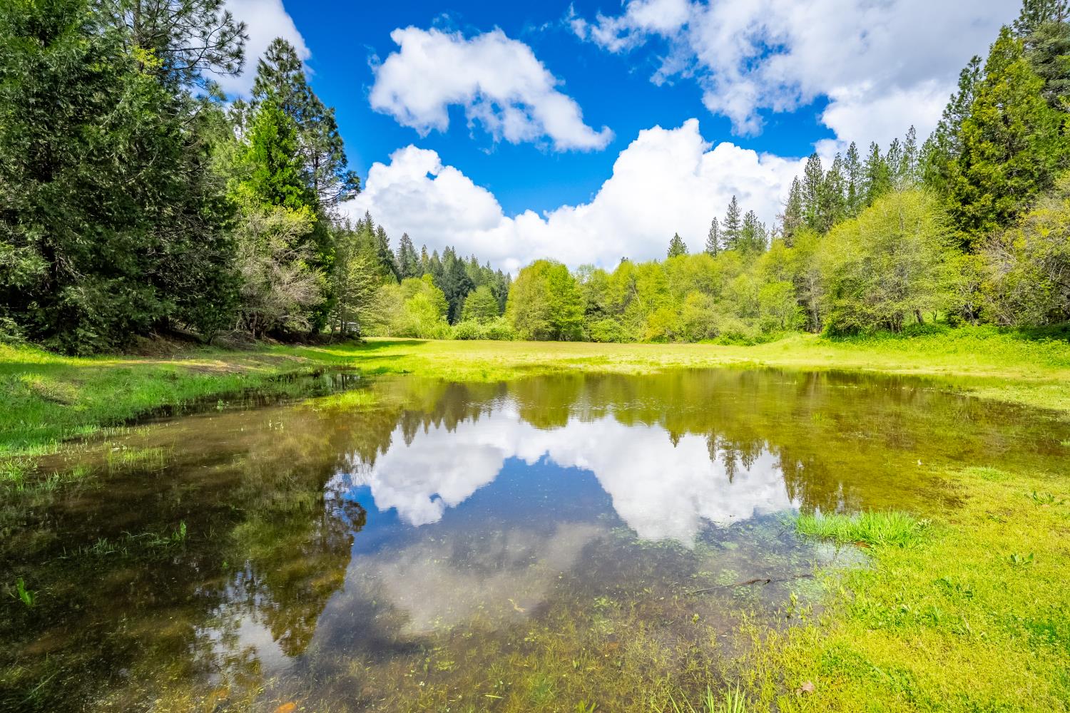 7250 Mitchell Mill Road Wilseyville, CA 95257 - Photo 21 of 56 a view of a lake