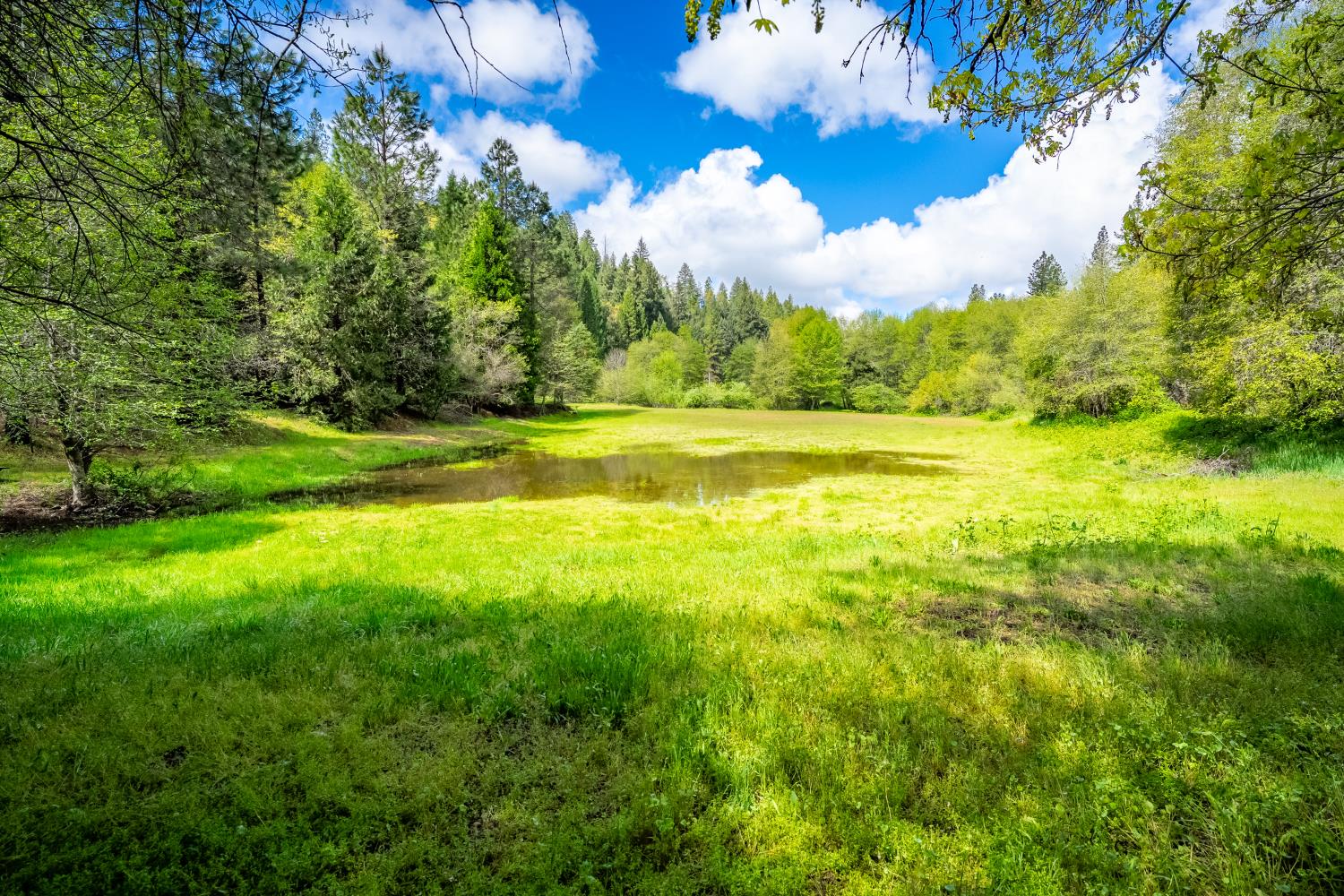 7250 Mitchell Mill Road Wilseyville, CA 95257 - Photo 22 of 56 a view of an ocean and a yard