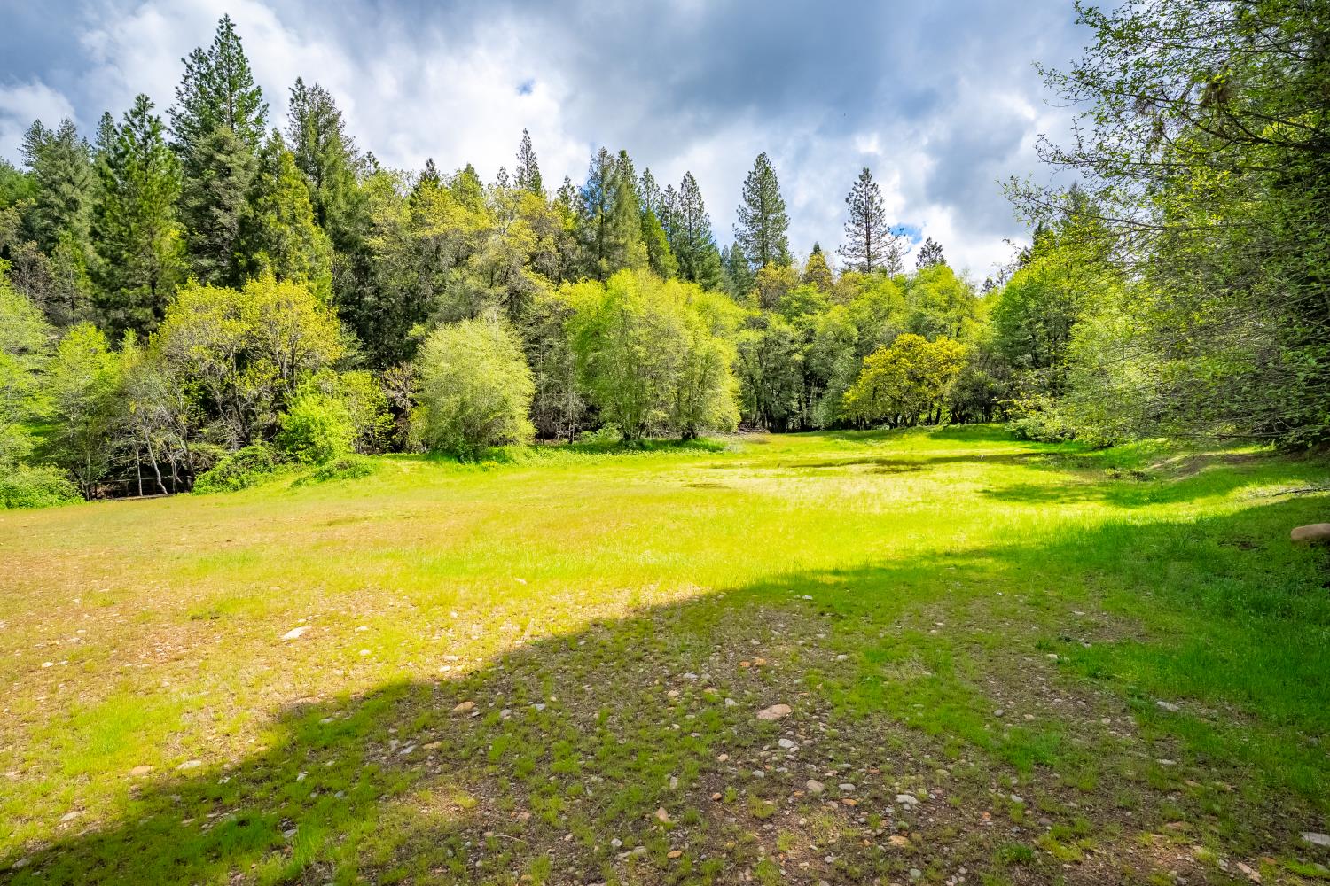 7250 Mitchell Mill Road Wilseyville, CA 95257 - Photo 24 of 56 a view of an ocean from a yard