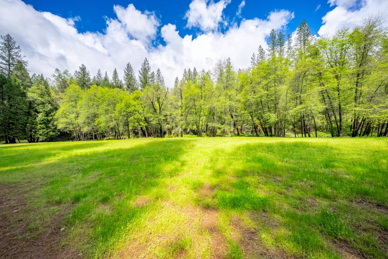 7250 Mitchell Mill Road Wilseyville, CA 95257 - Photo 25 of 56 a view of yard with green space