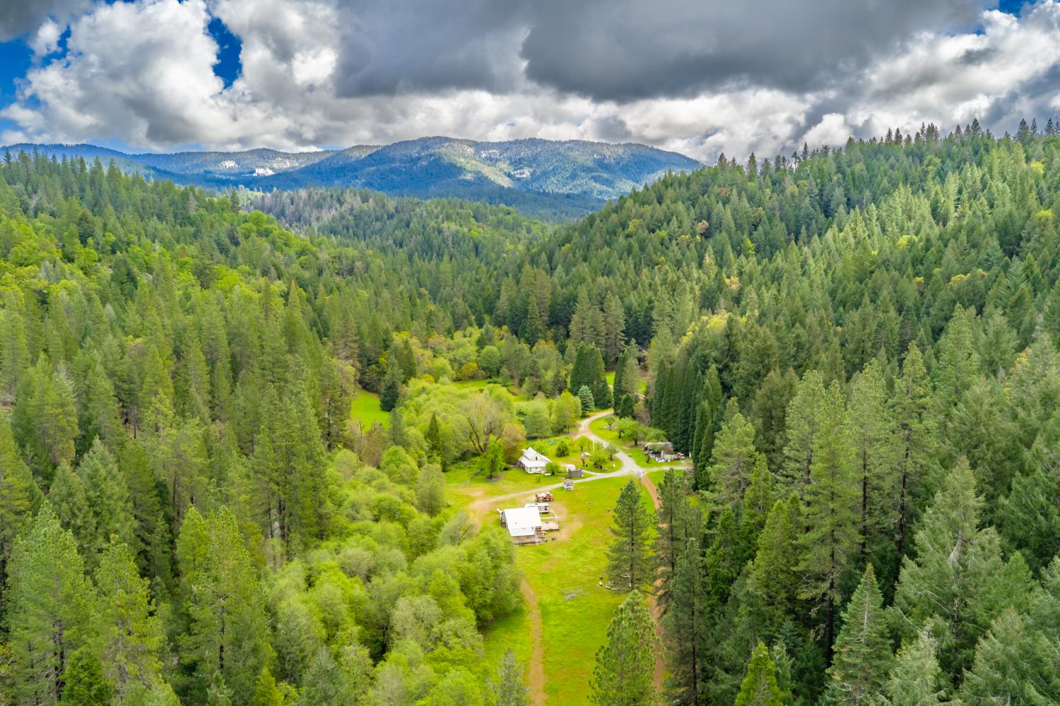 7250 Mitchell Mill Road Wilseyville, CA 95257 - Photo 4 of 56