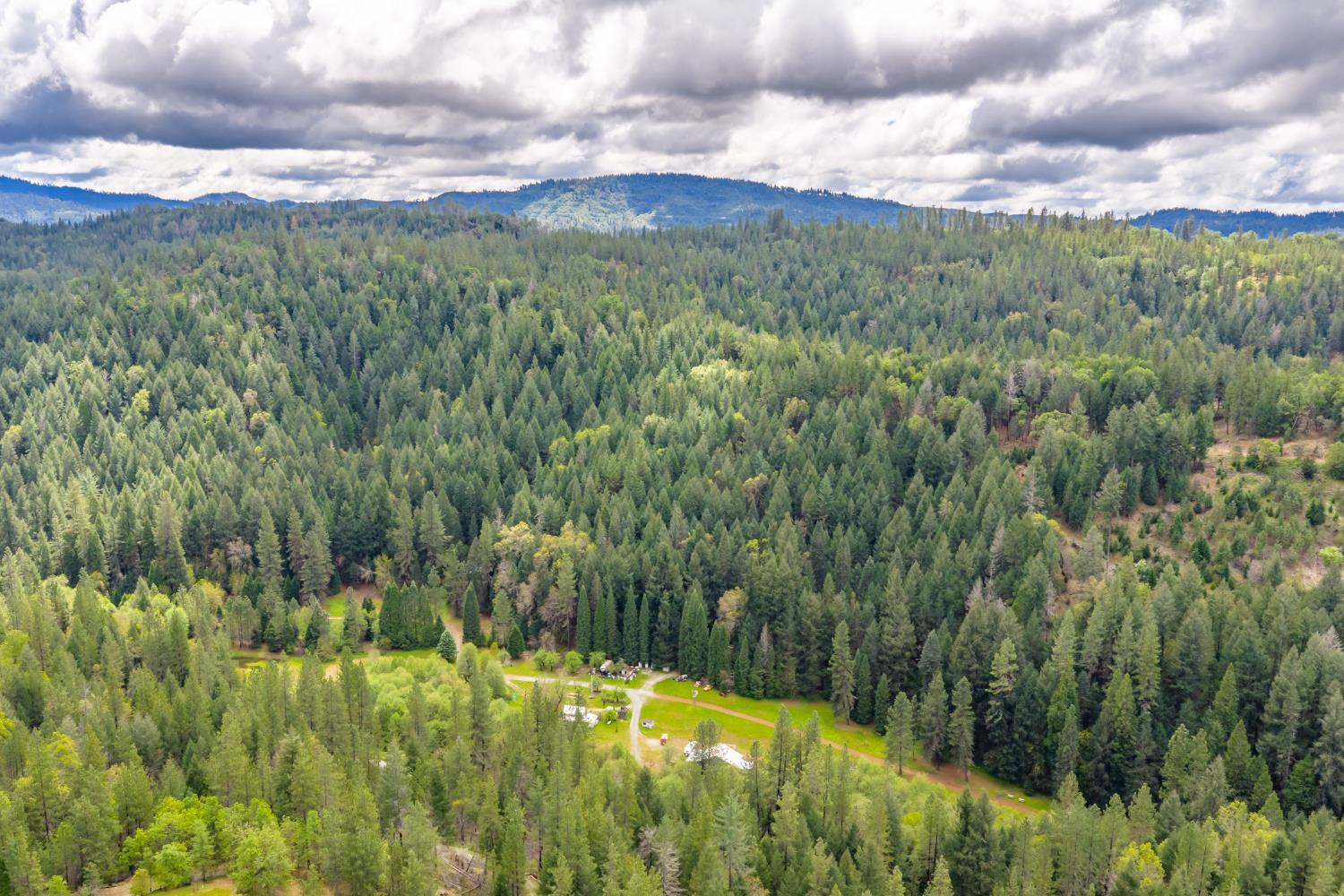 7250 Mitchell Mill Road Wilseyville, CA 95257 - Photo 51 of 56 a view of a city and lush green forest