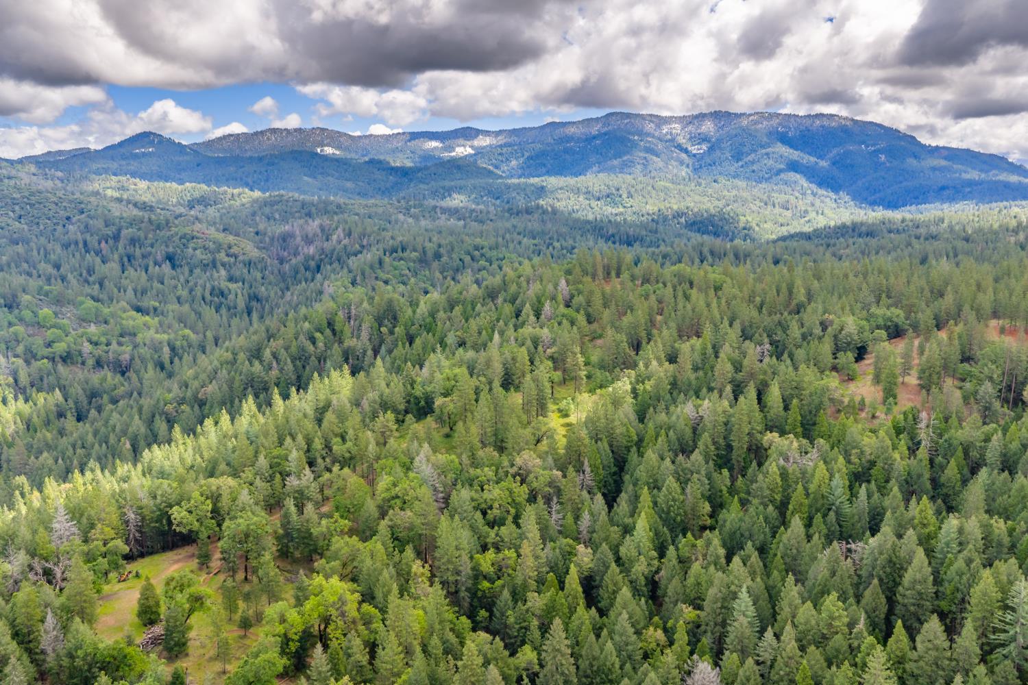 7250 Mitchell Mill Road Wilseyville, CA 95257 - Photo 54 of 56 a view of a bunch of trees
