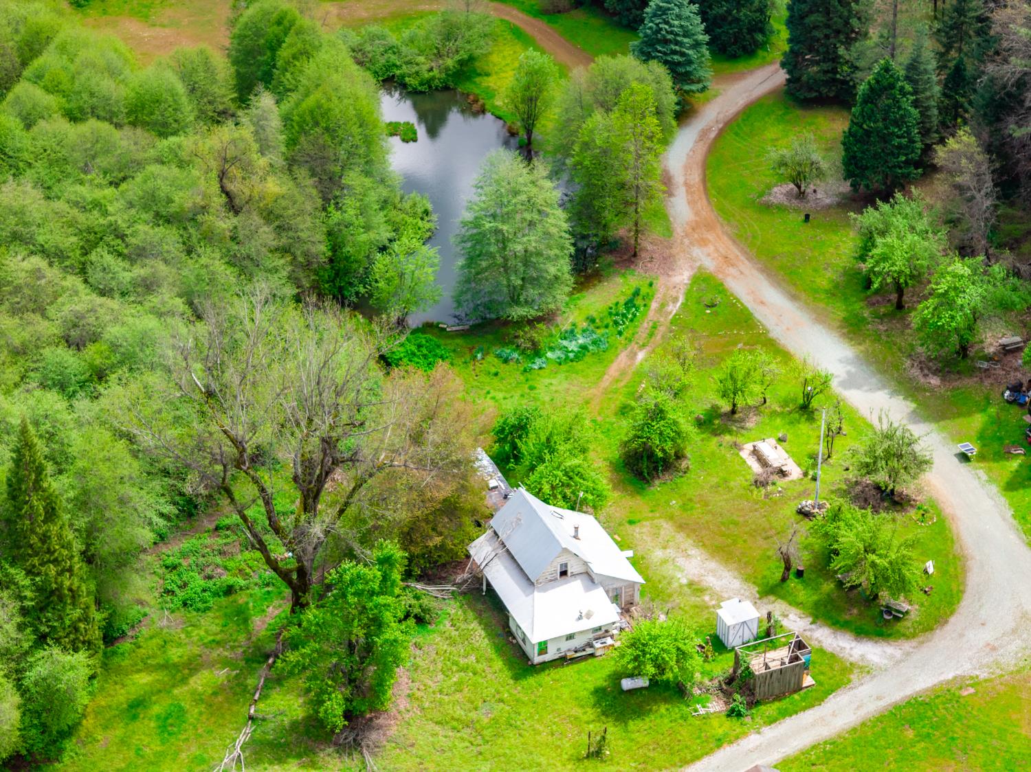 7250 Mitchell Mill Road Wilseyville, CA 95257 - Photo 6 of 56 an aerial view of a house with yard swimming pool and outdoor seating