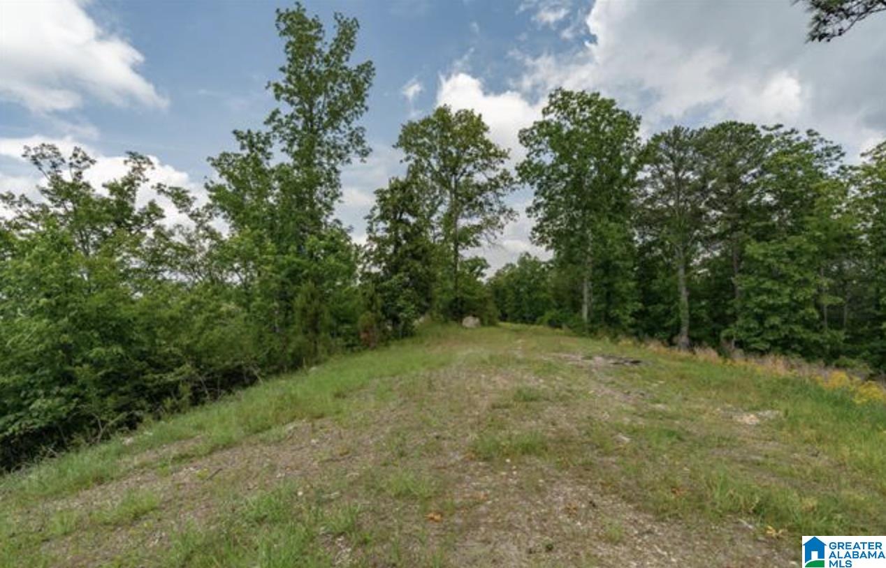 3459 Springstone Trail, Unit LOT 2 Leeds, AL 35094 - Photo 15 of 21 Gallery Image 15