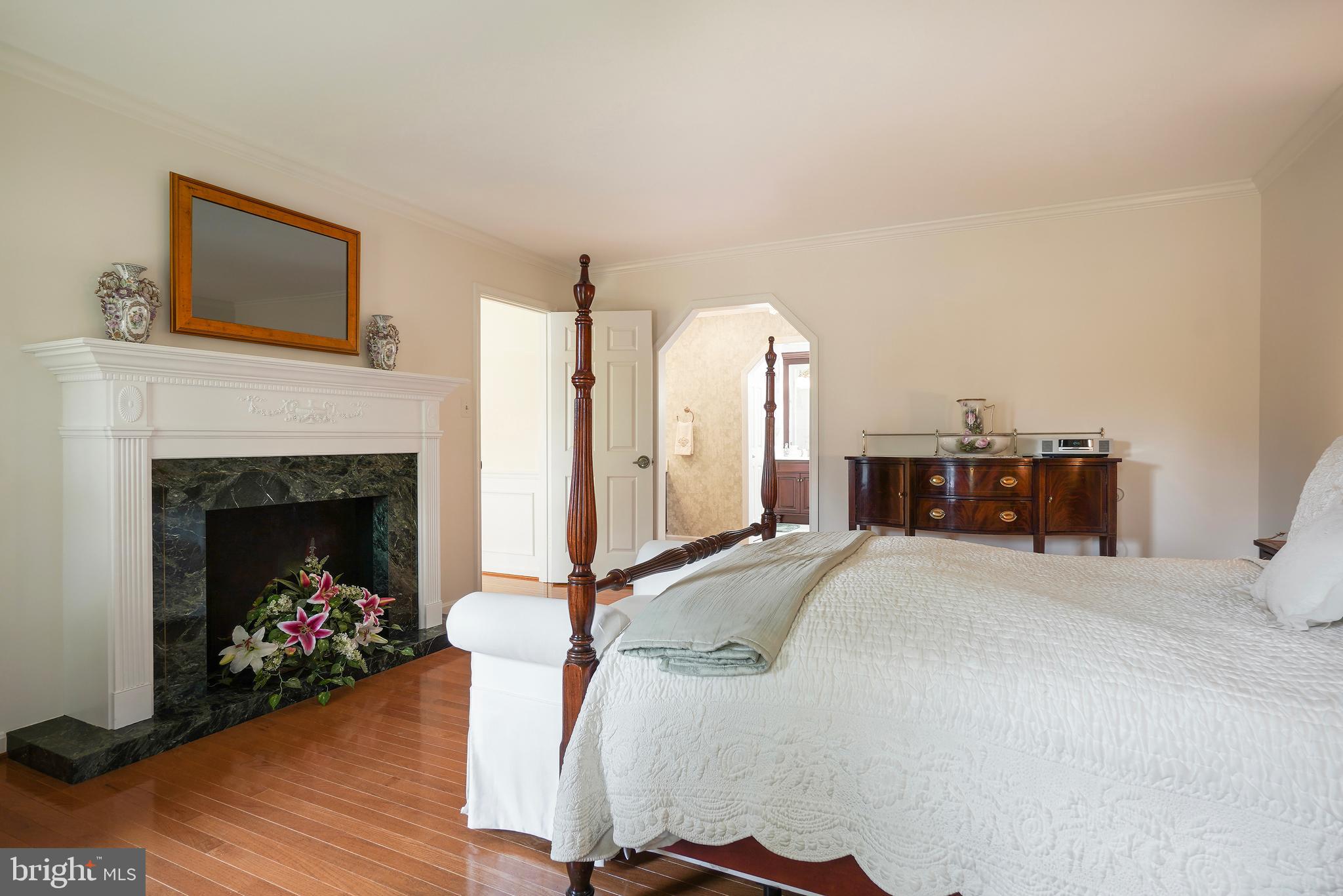 14716 Silverstone Drive Silver Spring, MD 20905 - Photo 25 of 48 Second decorative fireplace!