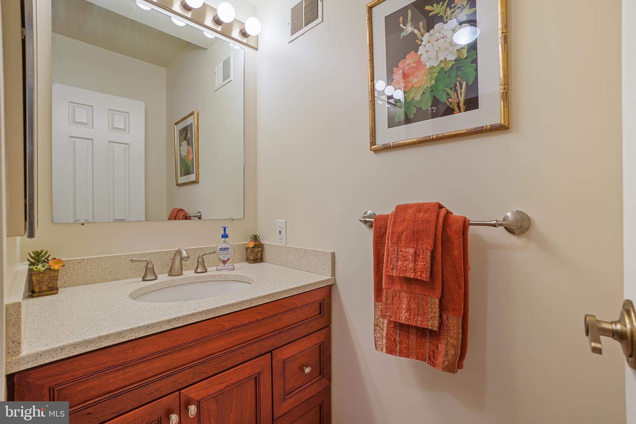 14716 Silverstone Drive Silver Spring, MD 20905 - Photo 34 of 48 Hall full bath, vanity storage.