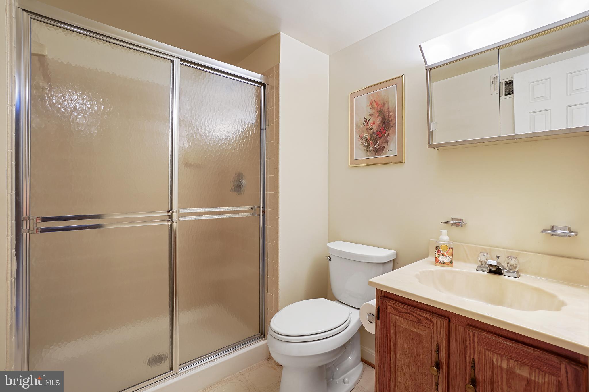 14716 Silverstone Drive Silver Spring, MD 20905 - Photo 41 of 48 Lower level third full bath!