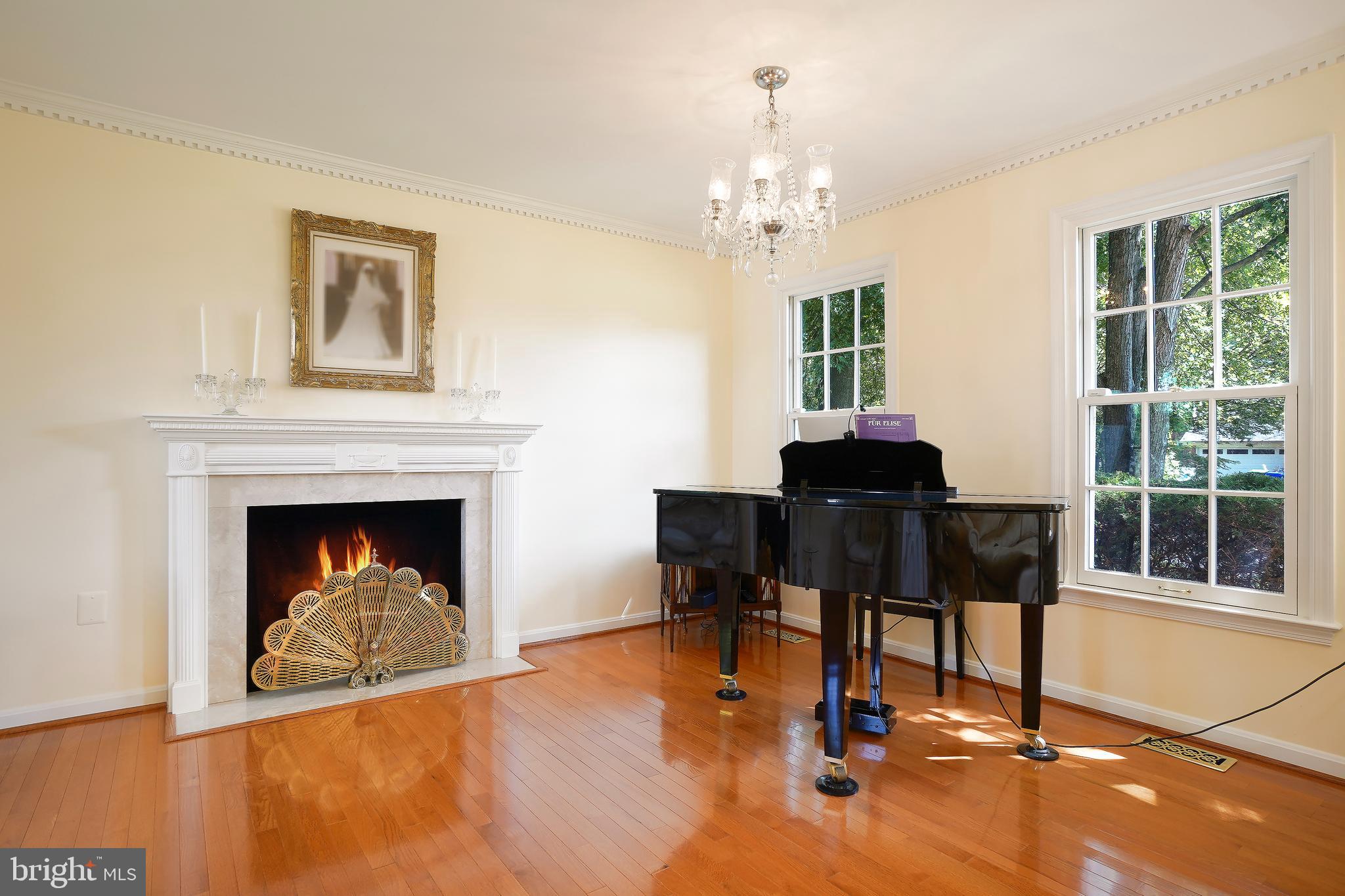 14716 Silverstone Drive Silver Spring, MD 20905 - Photo 8 of 48 Decorative fireplace