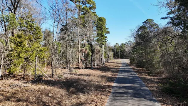 $20,000 | Tbd King Harry Court, Scroggins, TX 75480
