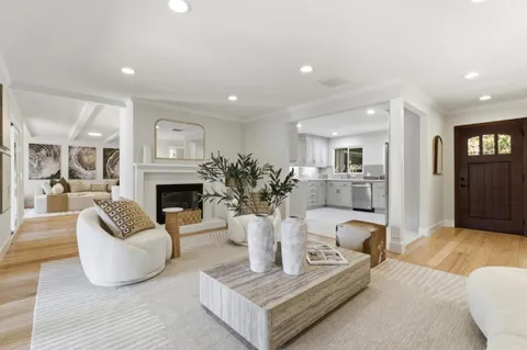 a living room with furniture a fireplace and a potted plant