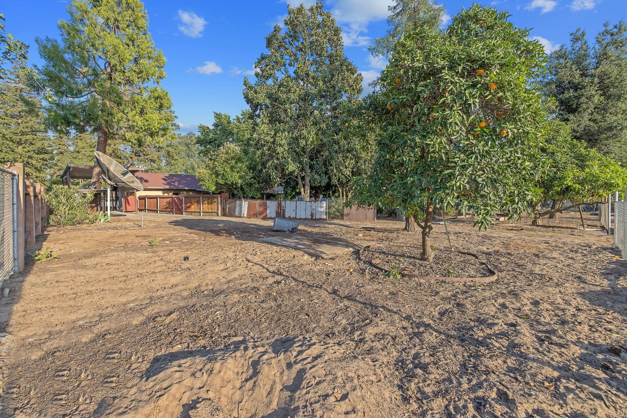 30955 Tower Road Visalia, CA 93292 - Photo 54 of 65 45-web-or-mls-713A5719