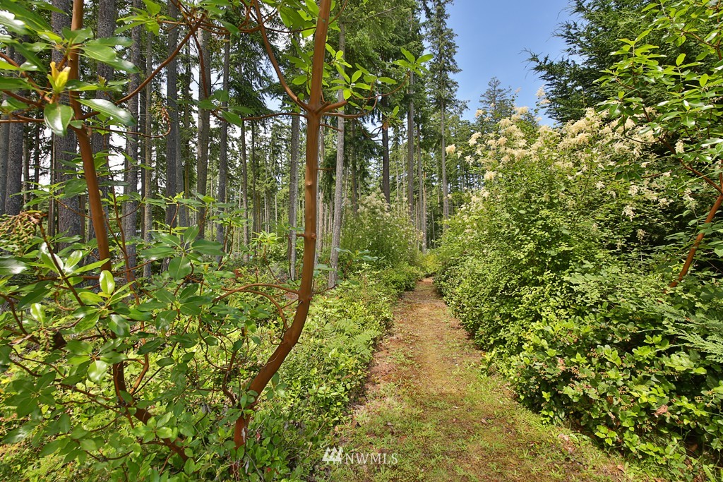 4954 Bounty Loop Freeland, WA 98249 - Photo 20 of 24 Gallery Image 20