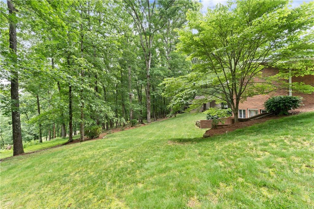 2290 Alec Mountain Road Clarkesville, GA 30523 - Photo 24 of 69