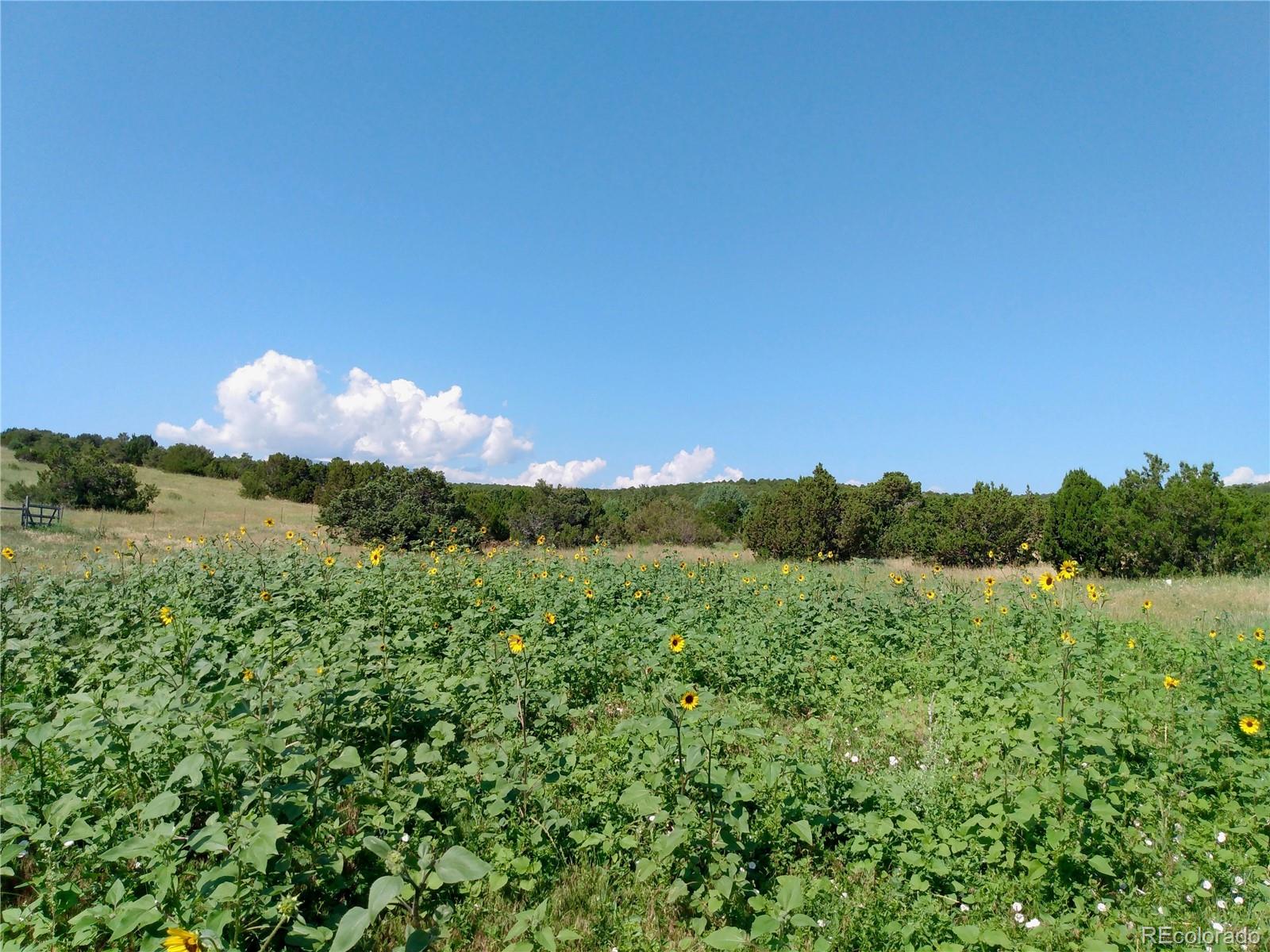 0 Sunrise Road Walsenburg, CO 81089 - Photo 14 of 38 Gallery Image 14