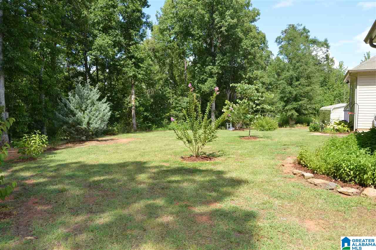 7596 Carroll Road Dora, AL 35062 - Photo 44 of 44 Gallery Image 44