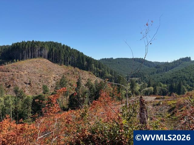 0 Van Horn Road Alsea, OR 97324 - Photo 2 of 16