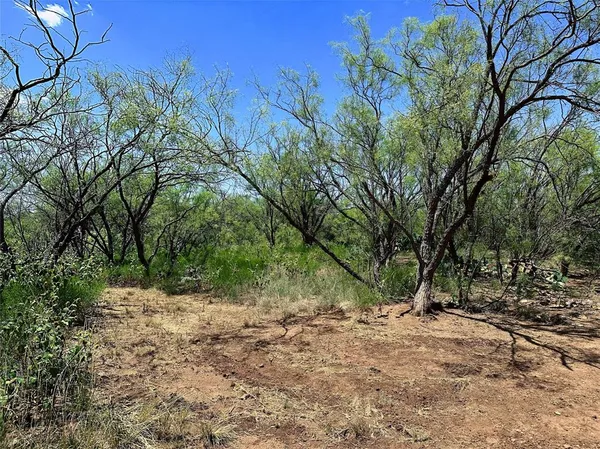 a backyard of a house with lots of green space and trees