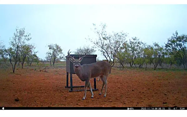 a balcony with table and chairs