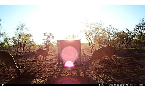 a view of workspace with sitting space