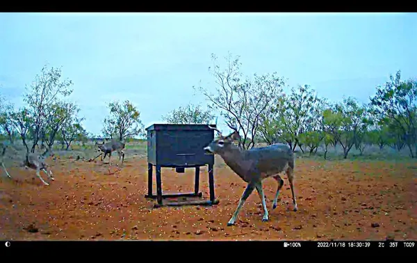 a view of lake and mountain view