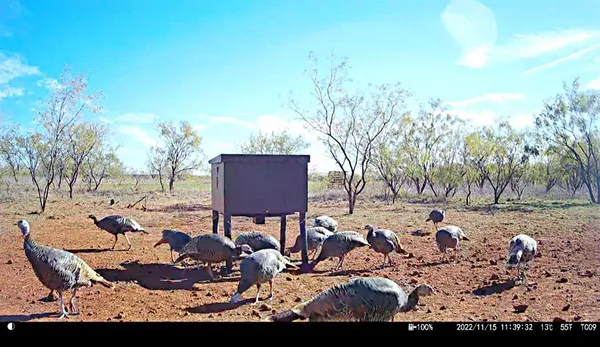 a view of lake with green space