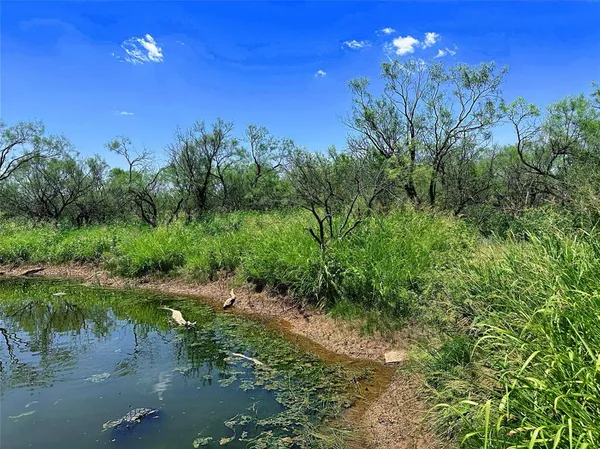 a view of a lake with green space