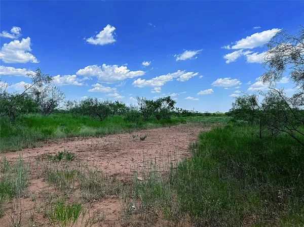 $310,000 | 12415 County Road 356, Anson, TX 79501
