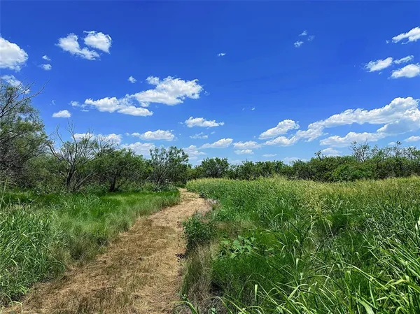 a view of a yard with plants and trees