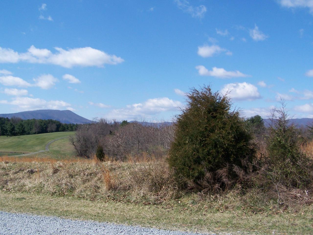 0 Sprinkle Road Fincastle, VA 24090 - Photo 4 of 6 Photo 4