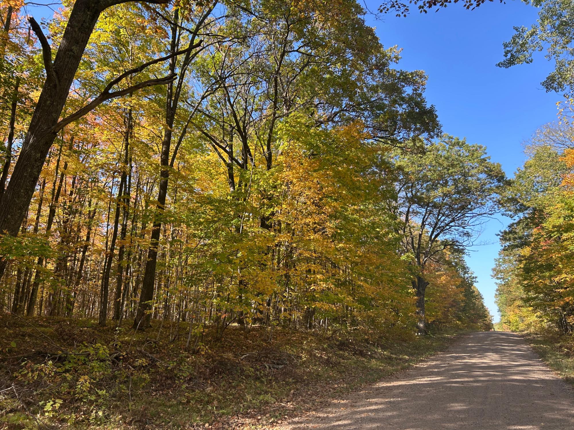 On Johnson Road, Unit 40 ACRES Crandon, WI 54520 - Photo 18 of 23 Gallery Image 18