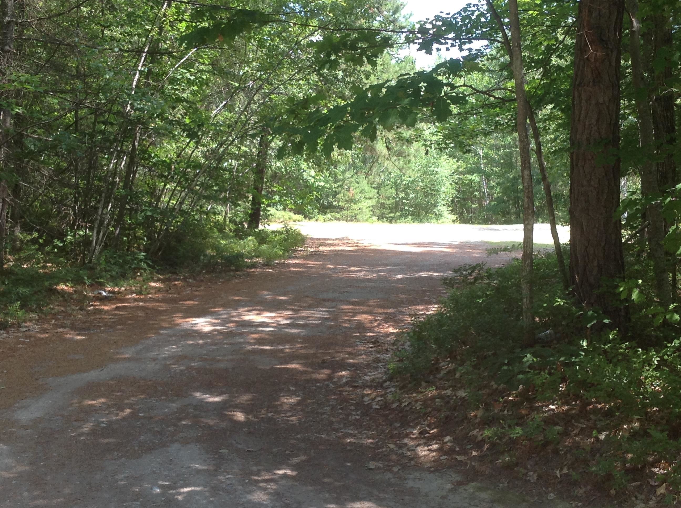 16 Red Baron Road Ossipee, NH 03814 - Photo 26 of 32