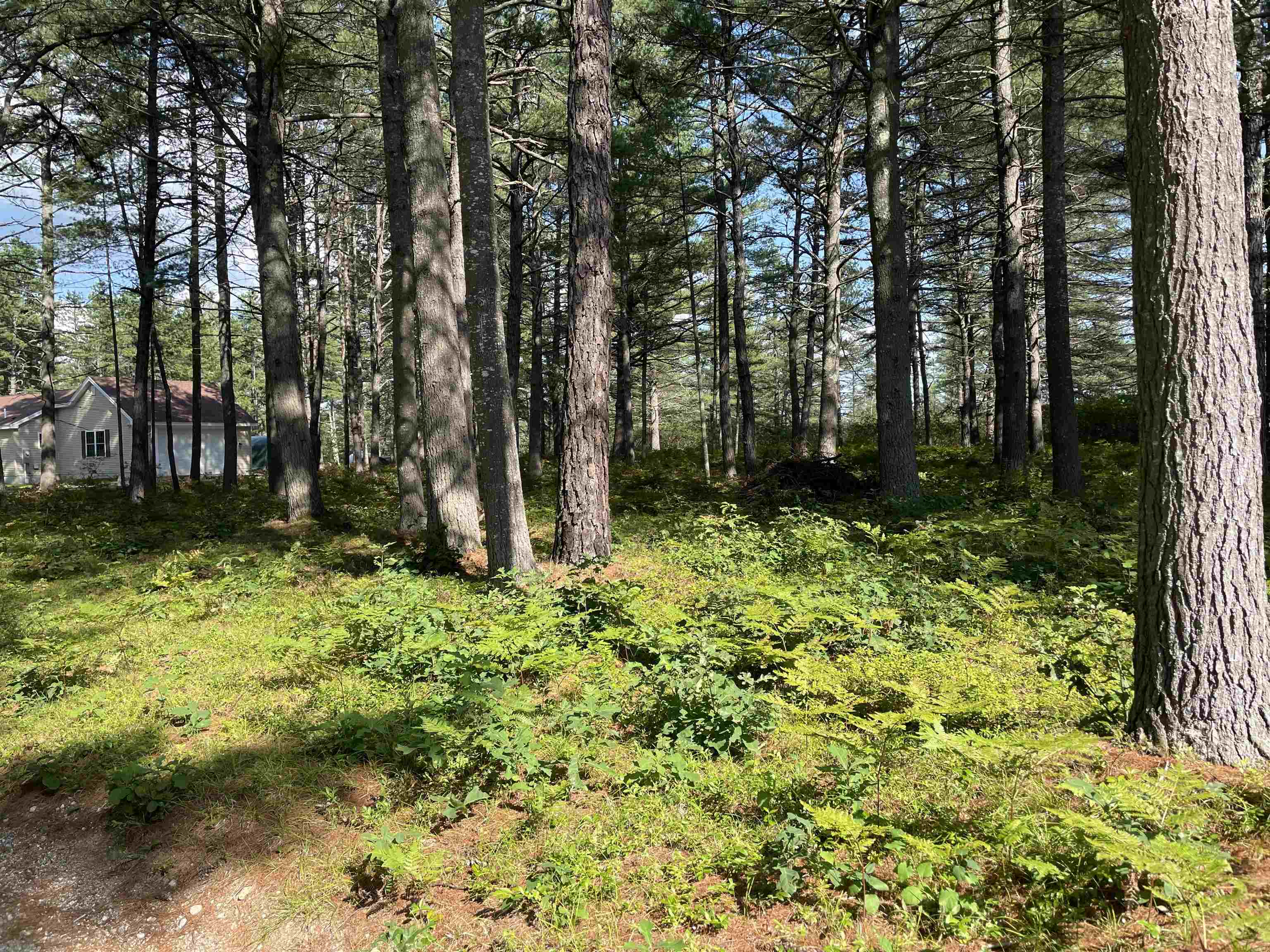 16 Red Baron Road Ossipee, NH 03814 - Photo 6 of 32