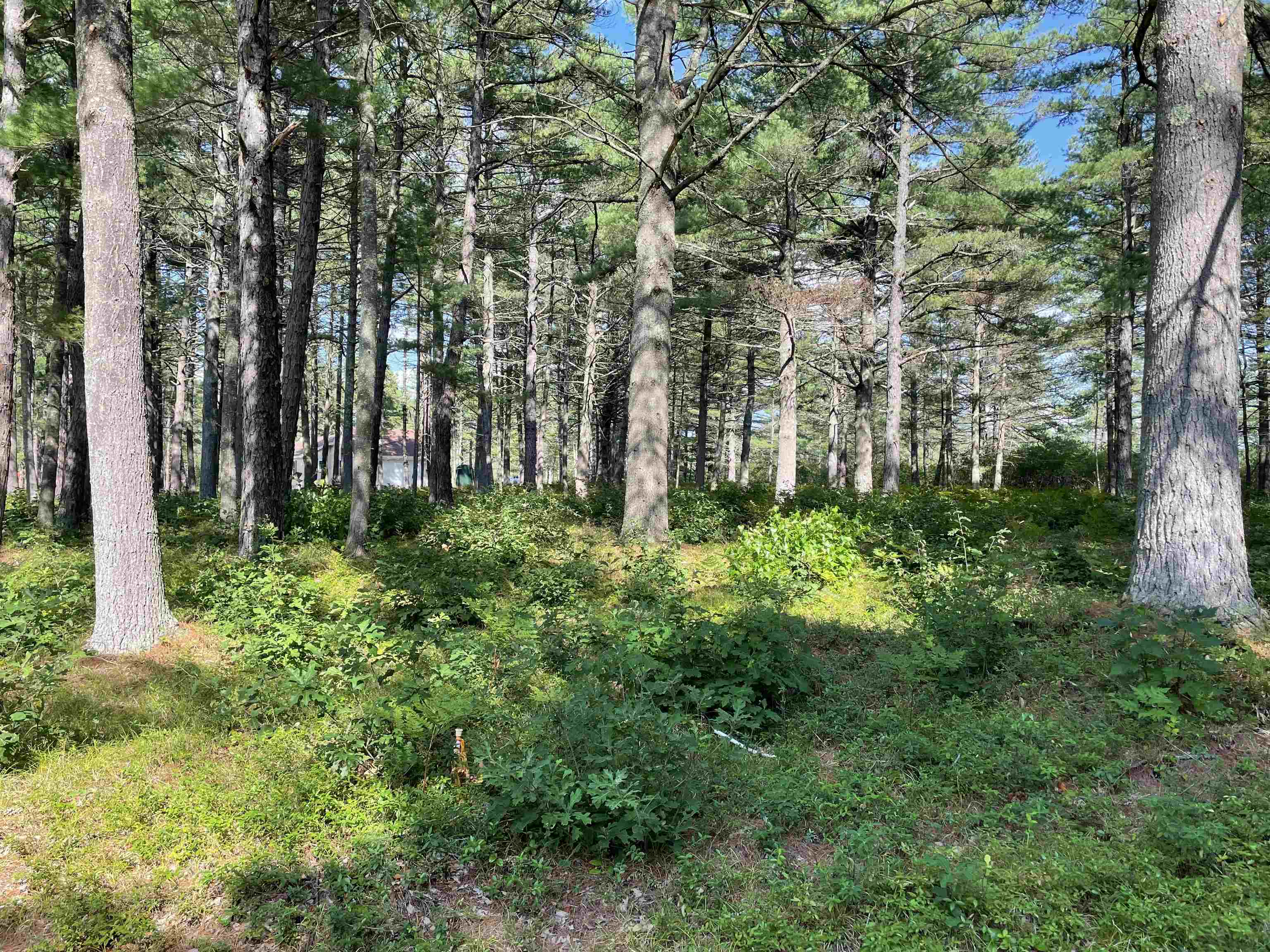 16 Red Baron Road Ossipee, NH 03814 - Photo 8 of 32