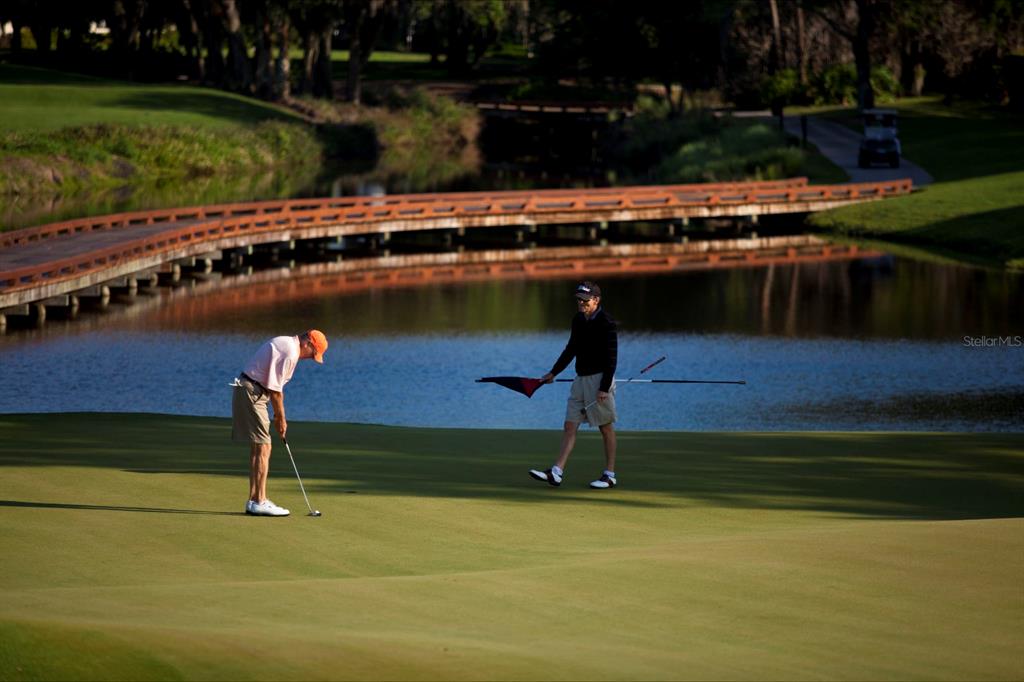 3603 North Point Road, Unit 702 Osprey, FL 34229 - Photo 60 of 61 a lake view with a lake view