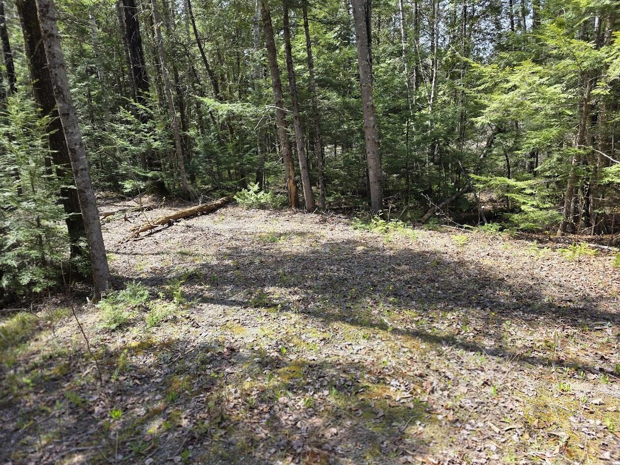 L2 Us Rt 2 Kingman, ME 04451 - Photo 16 of 18 20260513_111600