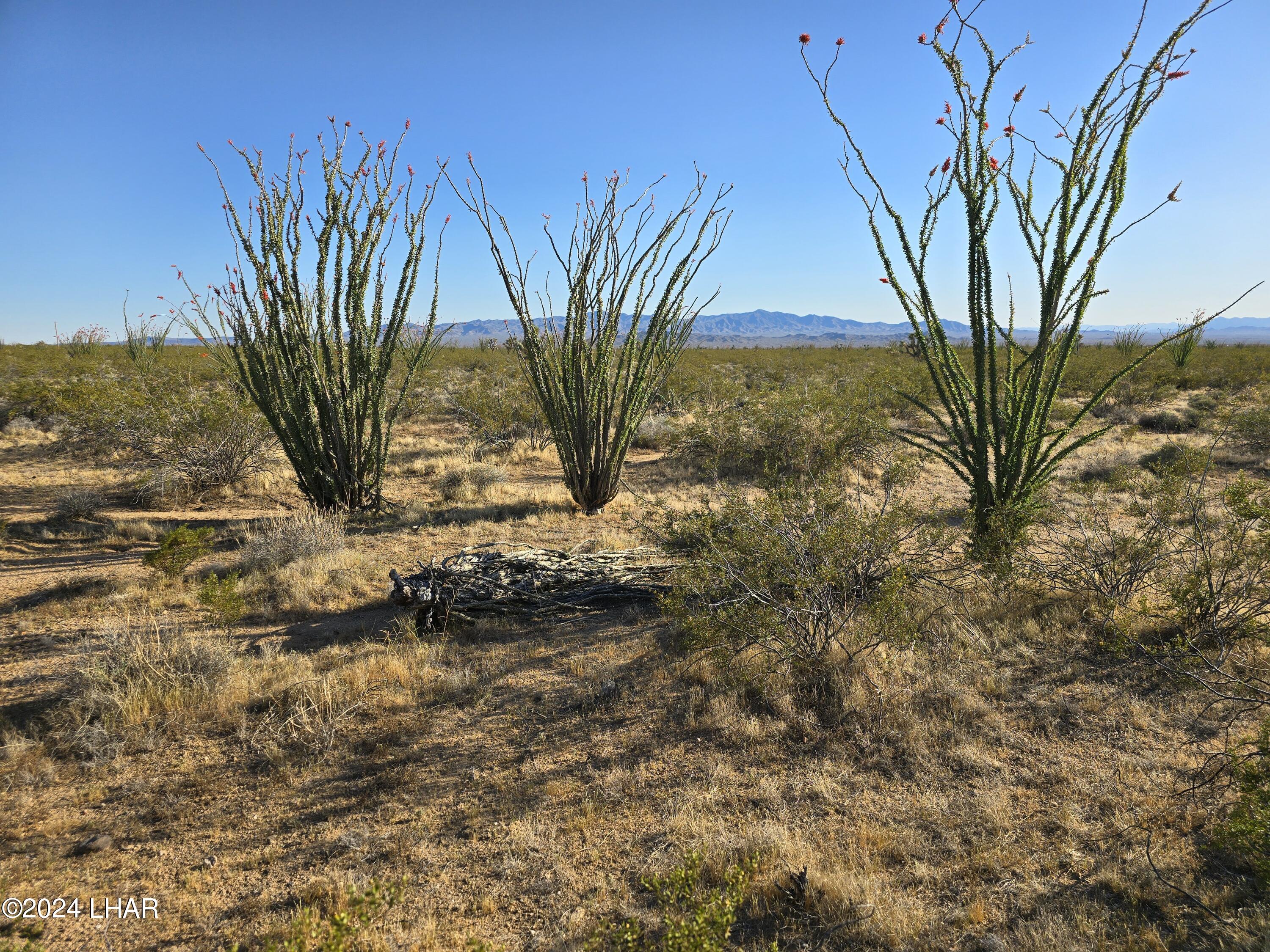 3387 South Custer Road Yucca, AZ 86438 - Photo 12 of 17 20240428_173607
