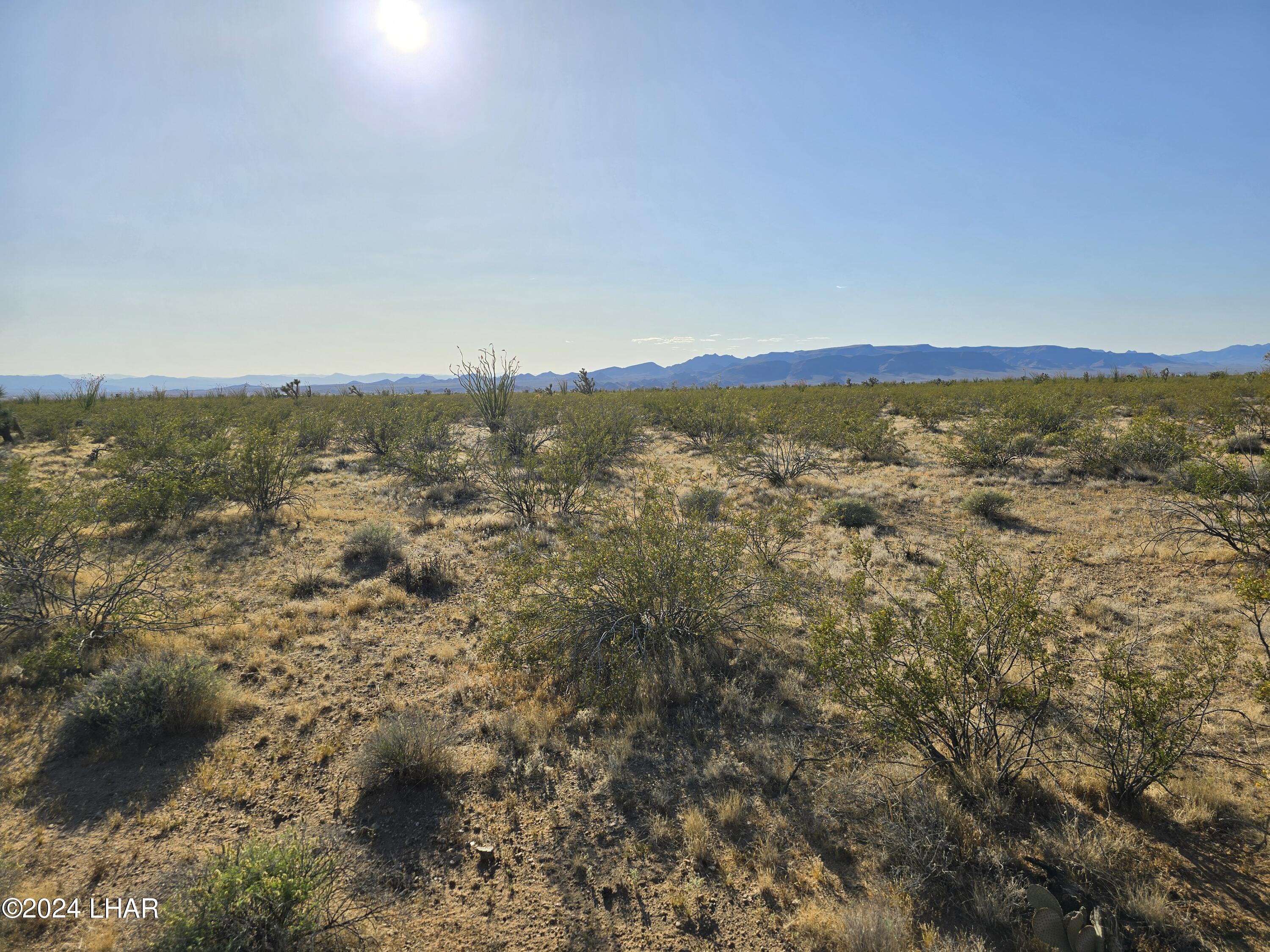3387 South Custer Road Yucca, AZ 86438 - Photo 13 of 17 20240428_173530