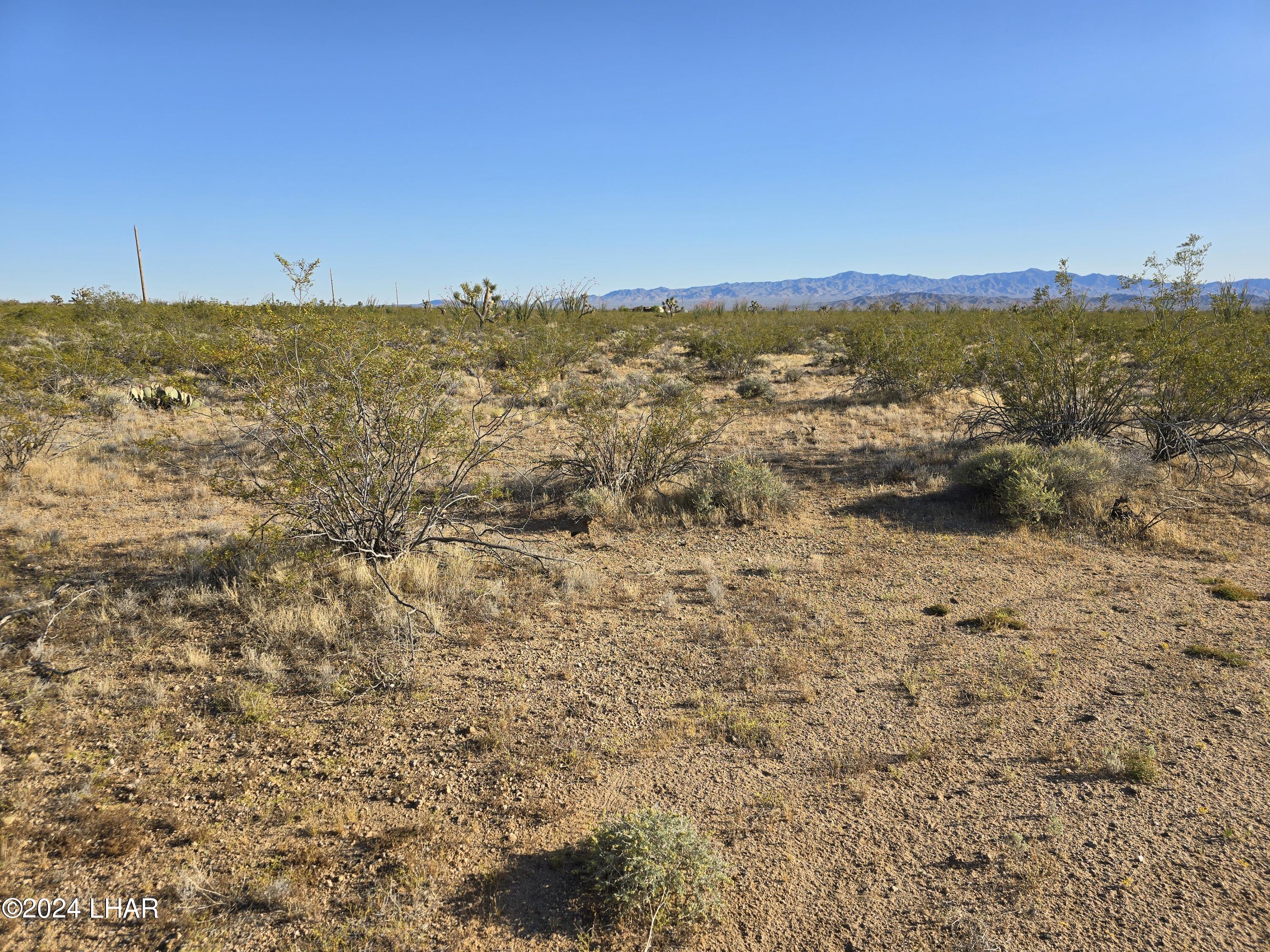 3387 South Custer Road Yucca, AZ 86438 - Photo 14 of 17 20240428_173434